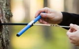 樹木生長錐全攻略：從類型解析到實操步驟詳解